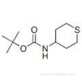 Carbamic acid,( 57190544,tetrahydro-2H-thiopyran-4-yl)-, 1,1-dimethylethyl ester (9CI) CAS 595597-00-5